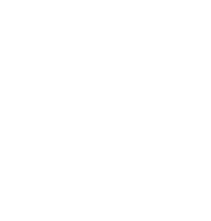 Hyttesaga Logo